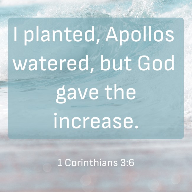  I planted, Apollos watered, but God gave the increase.   - 1 Corinthians 3:6 