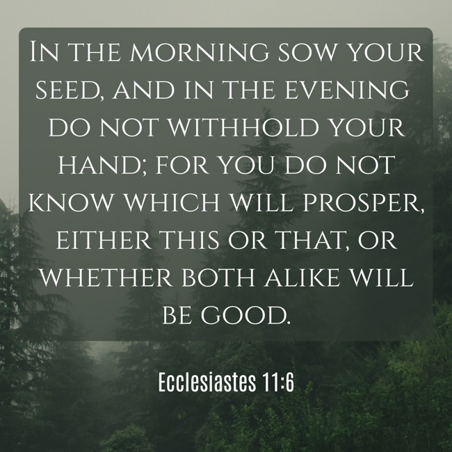  In the morning sow your seed, and in the evening do not withhold your hand; for you do not know which will prosper, either this or that, or whether both alike will be good.   - Ecclesiastes 11:6 