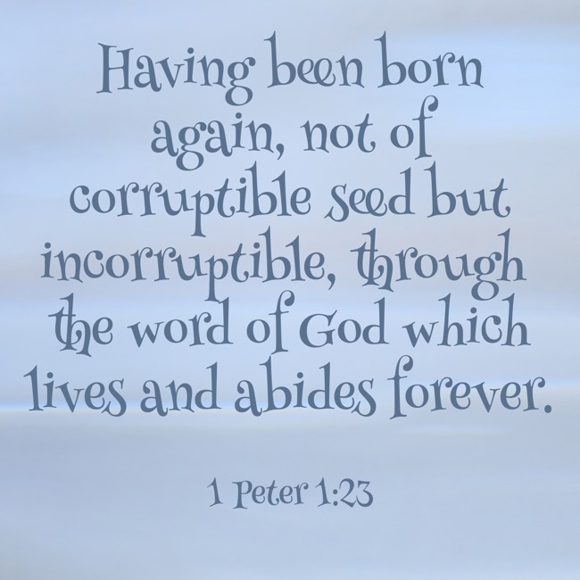  Having been born again, not of corruptible seed but incorruptible, through the word of God which lives and abides forever.   - 1 Peter 1:23 