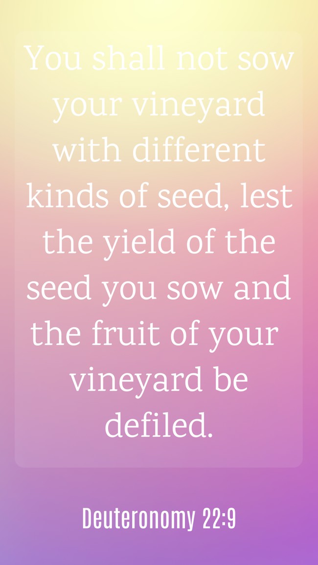  You shall not sow your vineyard with different kinds of seed, lest the yield of the seed you sow and the fruit of your vineyard be defiled.   - Deuteronomy 22:9 