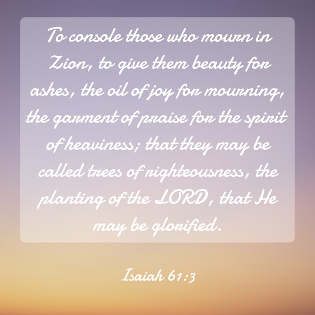  To console those who mourn in Zion, to give them beauty for ashes, the oil of joy for mourning, the garment of praise for the spirit of heaviness; that they may be called trees of righteousness, the planting of the LORD, that He may be glorified.   - Isaiah 61:3 