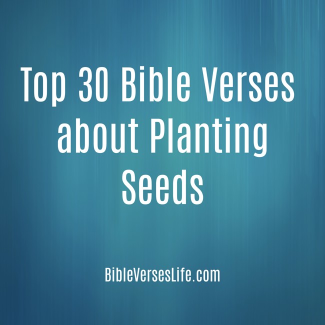 Top 30 Bible Verses about Planting Seeds