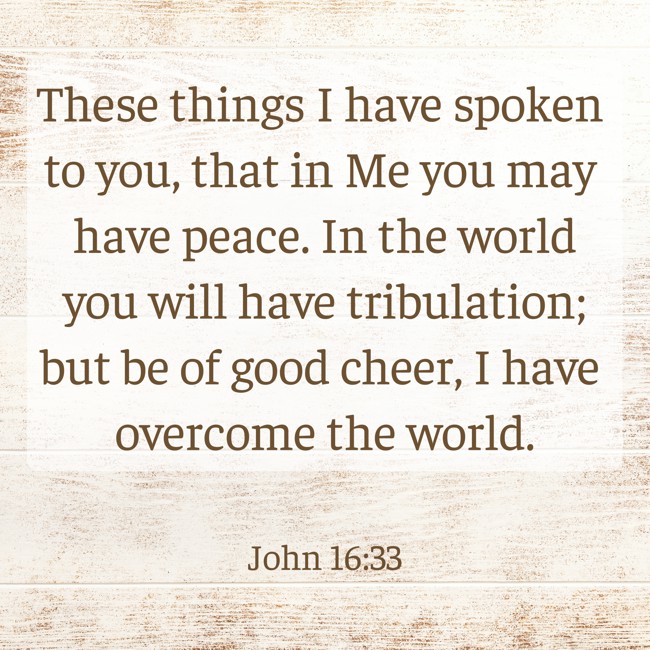 These things I have spoken to you, that in Me you may have peace. In the world you will have tribulation; but be of good cheer, I have overcome the world. - John 16:33