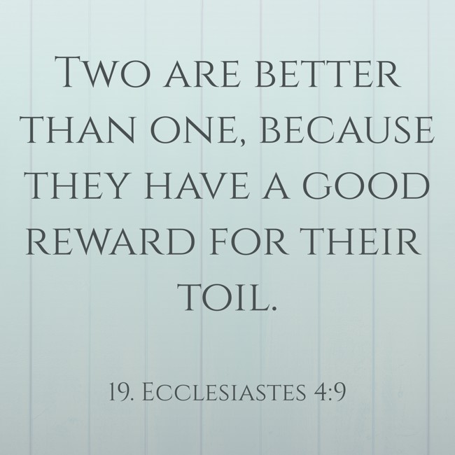 Two are better than one, because they have a good reward for their toil. - 19. Ecclesiastes 4:9