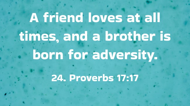 A friend loves at all times, and a brother is born for adversity. - 24. Proverbs 17:17