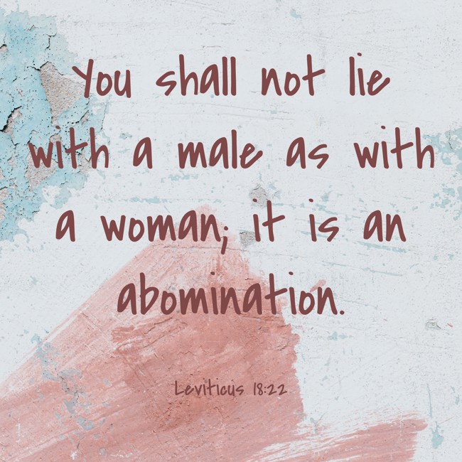 You shall not lie with a male as with a woman; it is an abomination. - Leviticus 18:22