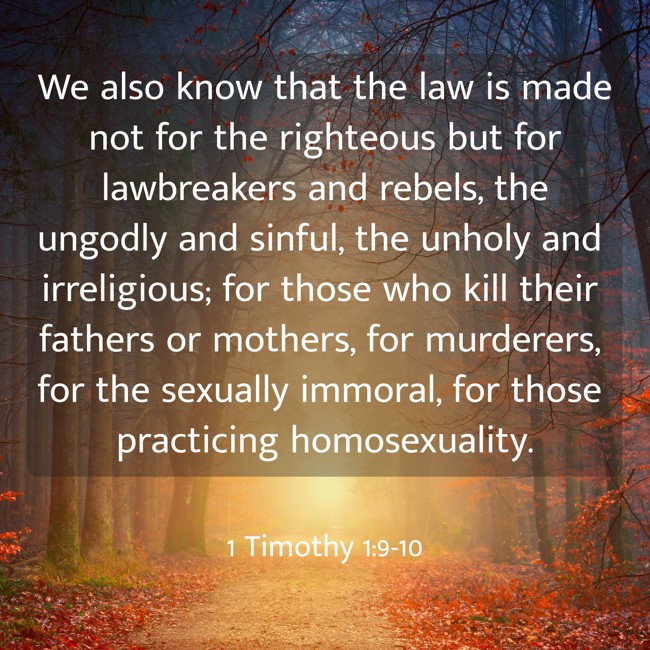 We also know that the law is made not for the righteous but for lawbreakers and rebels, the ungodly and sinful, the unholy and irreligious; for those who kill their fathers or mothers, for murderers, for the sexually immoral, for those practicing homosexuality. - 1 Timothy 1:9-10