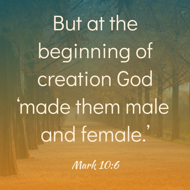 But at the beginning of creation God ‘made them male and female.’ - Mark 10:6