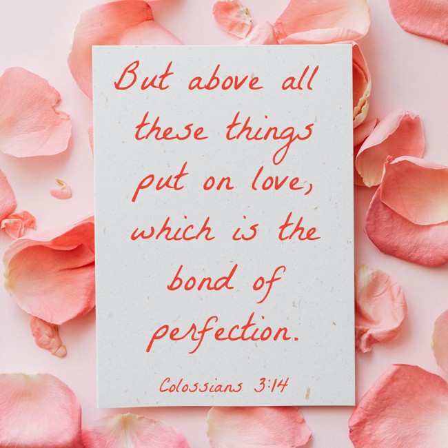 But above all these things put on love, which is the bond of perfection. - Colossians 3:14