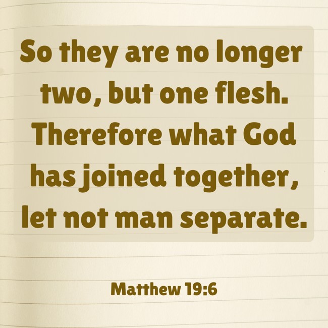 So they are no longer two, but one flesh. Therefore what God has joined together, let not man separate. - Matthew 19:6