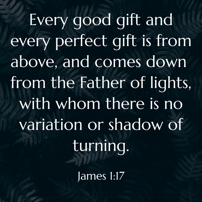 Every good gift and every perfect gift is from above, and comes down from the Father of lights, with whom there is no variation or shadow of turning. - James 1:17