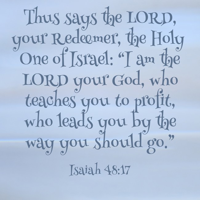 Thus says the LORD, your Redeemer, the Holy One of Israel: “I am the LORD your God, who teaches you to profit, who leads you by the way you should go.” - Isaiah 48:17