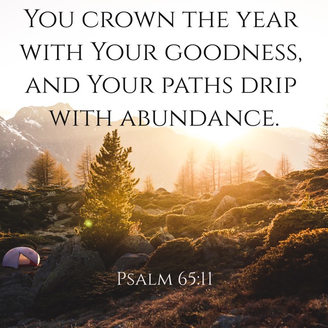 You crown the year with Your goodness, and Your paths drip with abundance. - Psalm 65:11