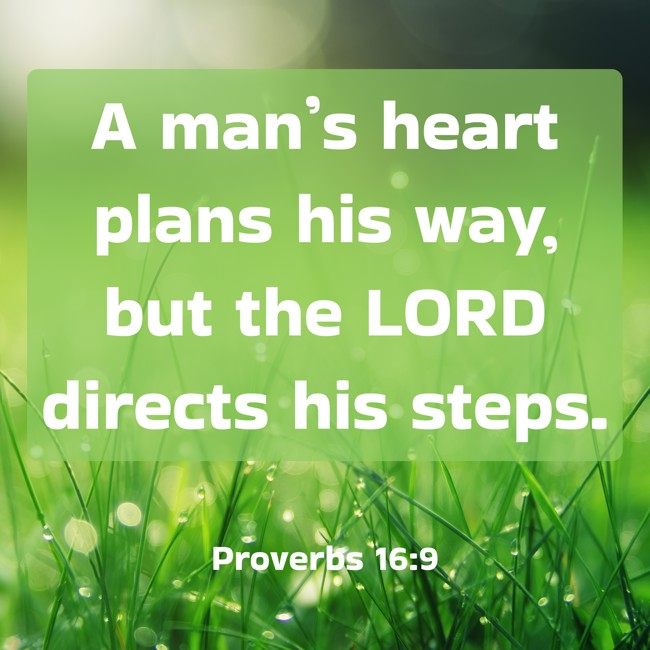 A man’s heart plans his way, but the LORD directs his steps. - Proverbs 16:9
