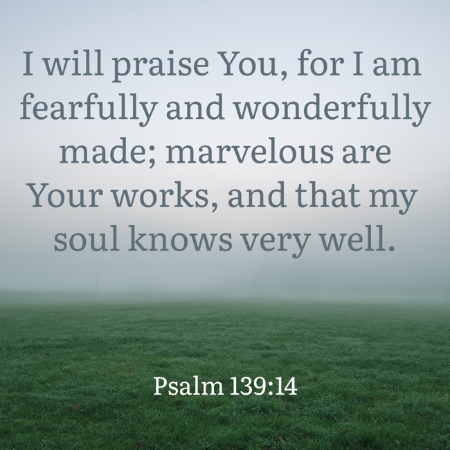 I will praise You, for I am fearfully and wonderfully made; marvelous are Your works, and that my soul knows very well. - Psalm 139:14