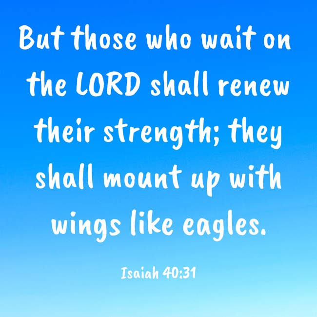 But those who wait on the LORD shall renew their strength; they shall mount up with wings like eagles. - Isaiah 40:31