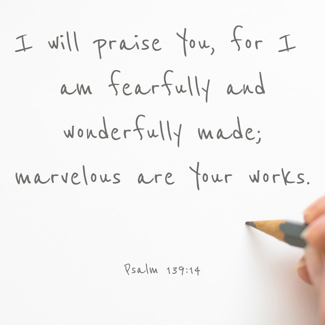 I will praise You, for I am fearfully and wonderfully made; marvelous are Your works. - Psalm 139:14