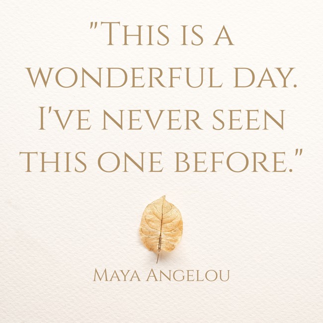 This is a wonderful day. I've never seen this one before. - Maya Angelou