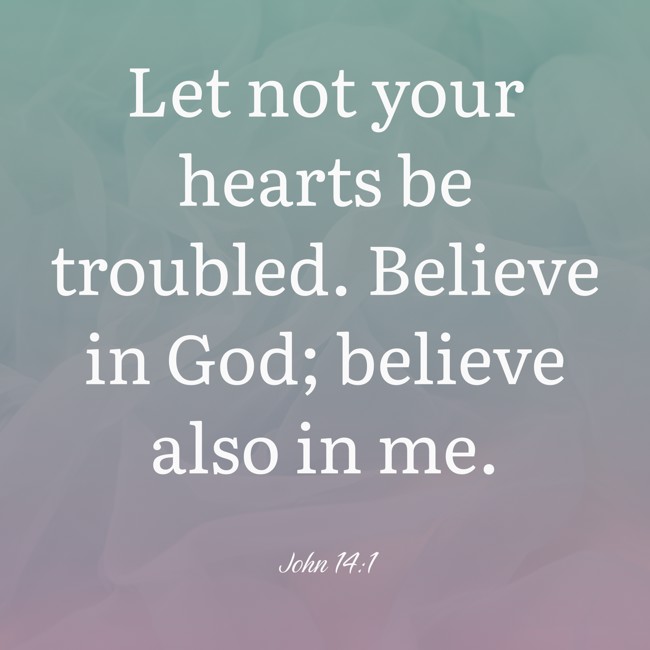  Let not your hearts be troubled. Believe in God; believe also in me.   - John 14:1 