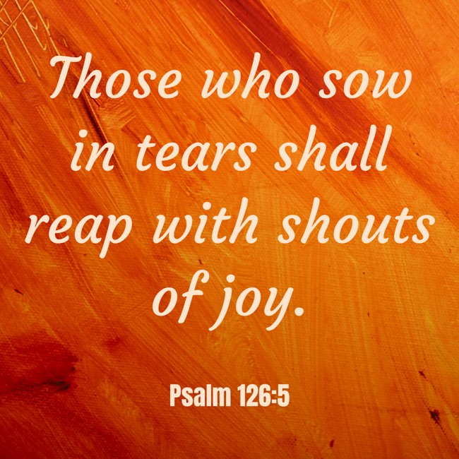  Those who sow in tears shall reap with shouts of joy.   - Psalm 126:5 