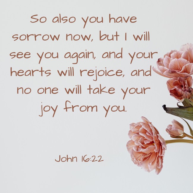  So also you have sorrow now, but I will see you again, and your hearts will rejoice, and no one will take your joy from you.   - John 16:22 