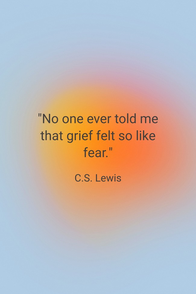  No one ever told me that grief felt so like fear.   - C.S. Lewis 