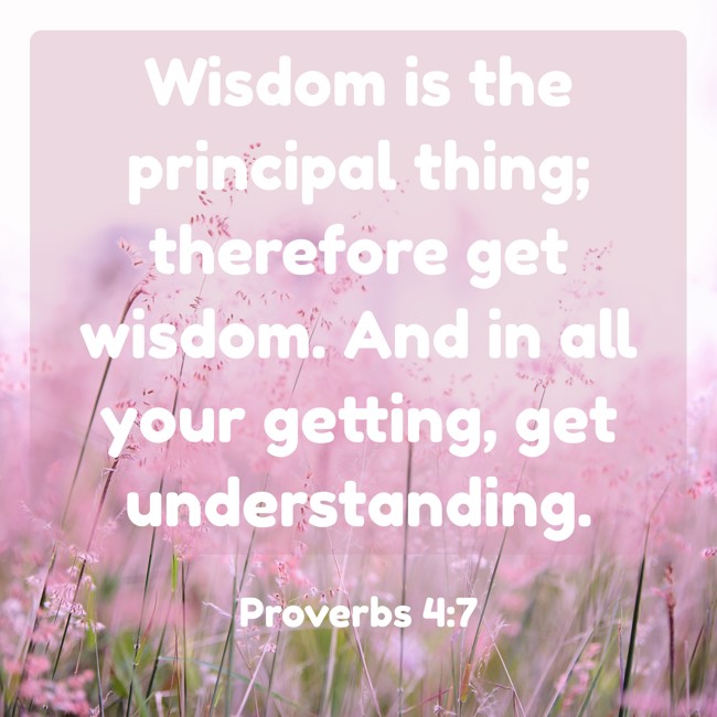 Wisdom is the principal thing; therefore get wisdom. And in all your getting, get understanding. - Proverbs 4:7