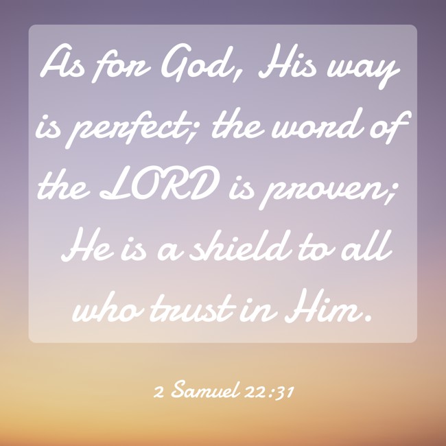 As for God, His way is perfect; the word of the LORD is proven; He is a shield to all who trust in Him. - 2 Samuel 22:31