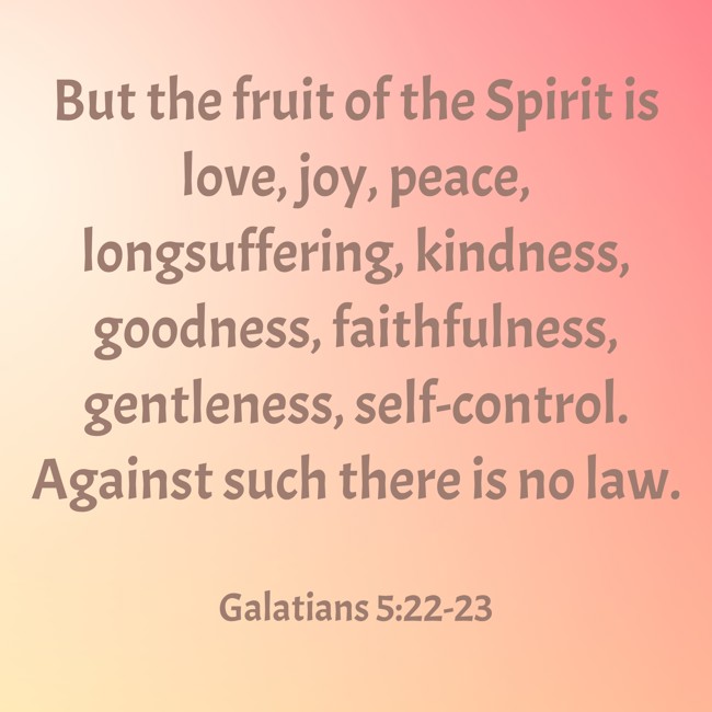 But the fruit of the Spirit is love, joy, peace, longsuffering, kindness, goodness, faithfulness, gentleness, self-control. Against such there is no law. - Galatians 5:22-23