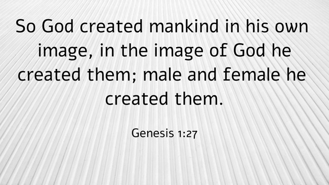 So God created mankind in his own image, in the image of God he created them; male and female he created them. - Genesis 1:27