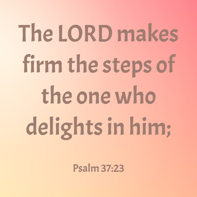 The LORD makes firm the steps of the one who delights in him; - Psalm 37:23