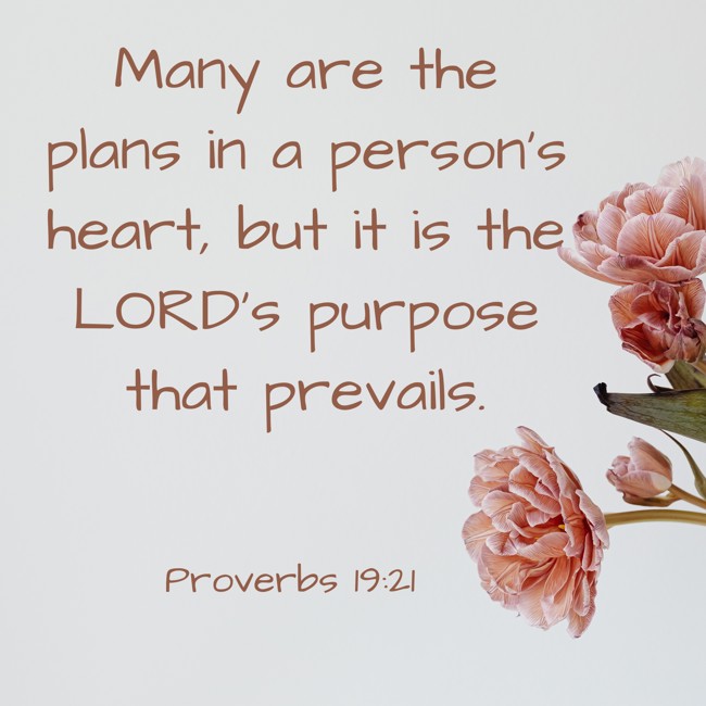 Many are the plans in a person's heart, but it is the LORD's purpose that prevails. - Proverbs 19:21