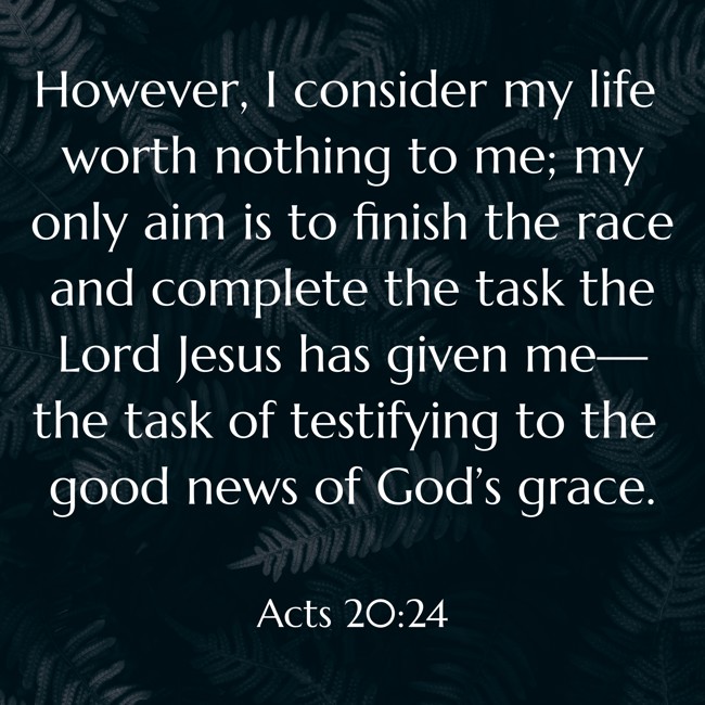However, I consider my life worth nothing to me; my only aim is to finish the race and complete the task the Lord Jesus has given me—the task of testifying to the good news of God’s grace. - Acts 20:24