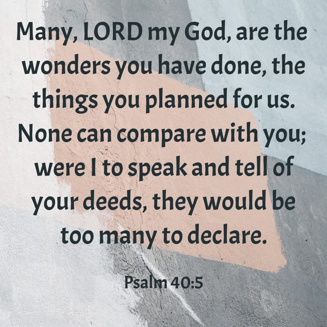 Many, LORD my God, are the wonders you have done, the things you planned for us. None can compare with you; were I to speak and tell of your deeds, they would be too many to declare. - Psalm 40:5