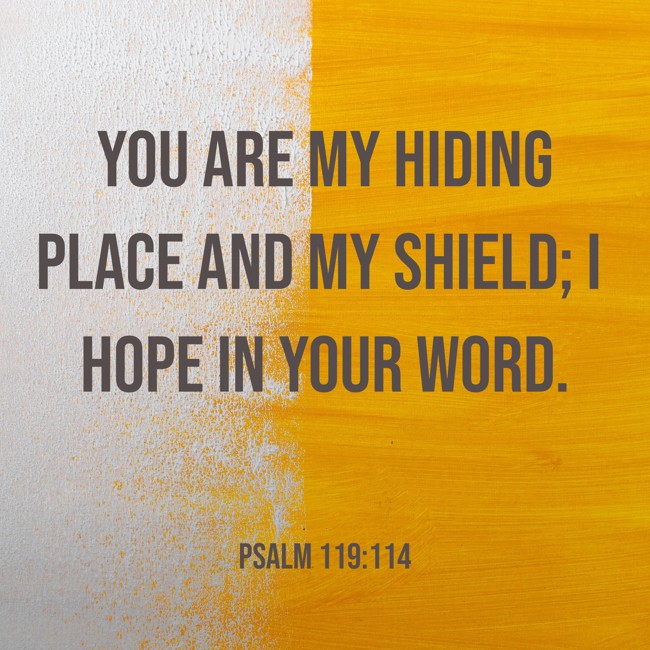 You are my hiding place and my shield; I hope in Your word. - Psalm 119:114