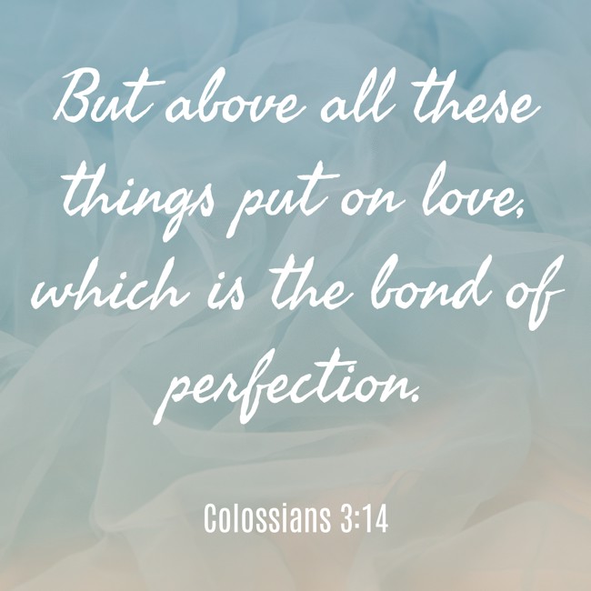 But above all these things put on love, which is the bond of perfection. - Colossians 3:14