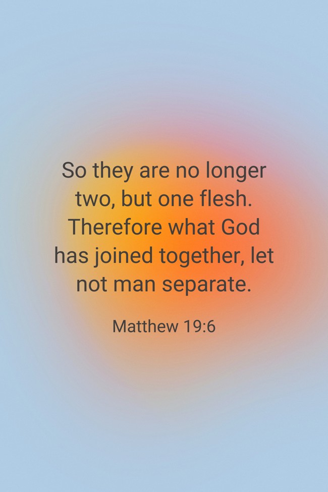 So they are no longer two, but one flesh. Therefore what God has joined together, let not man separate. - Matthew 19:6