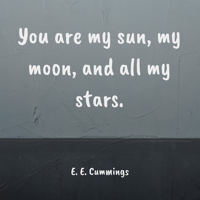 You are my sun, my moon, and all my stars. - E. E. Cummings