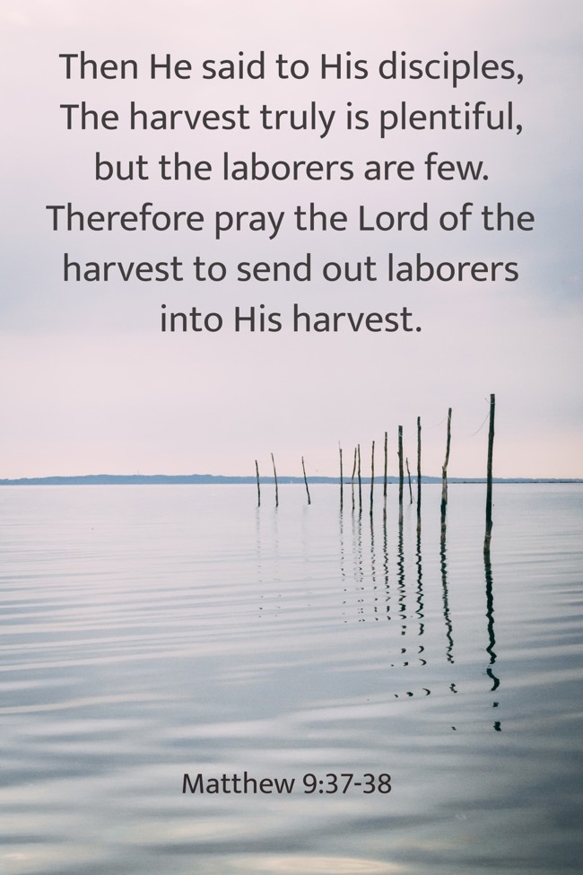Then He said to His disciples, The harvest truly is plentiful, but the laborers are few. Therefore pray the Lord of the harvest to send out laborers into His harvest. - Matthew 9:37-38