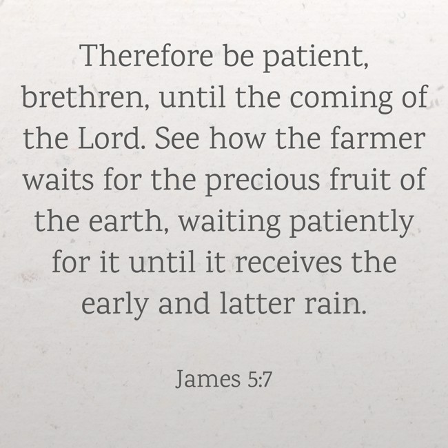 Therefore be patient, brethren, until the coming of the Lord. See how the farmer waits for the precious fruit of the earth, waiting patiently for it until it receives the early and latter rain. - James 5:7