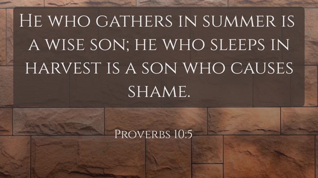 He who gathers in summer is a wise son; he who sleeps in harvest is a son who causes shame. - Proverbs 10:5