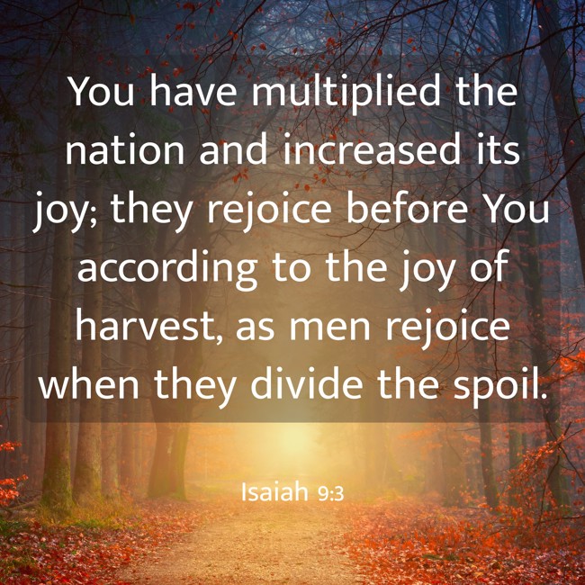 You have multiplied the nation and increased its joy; they rejoice before You according to the joy of harvest, as men rejoice when they divide the spoil. - Isaiah 9:3