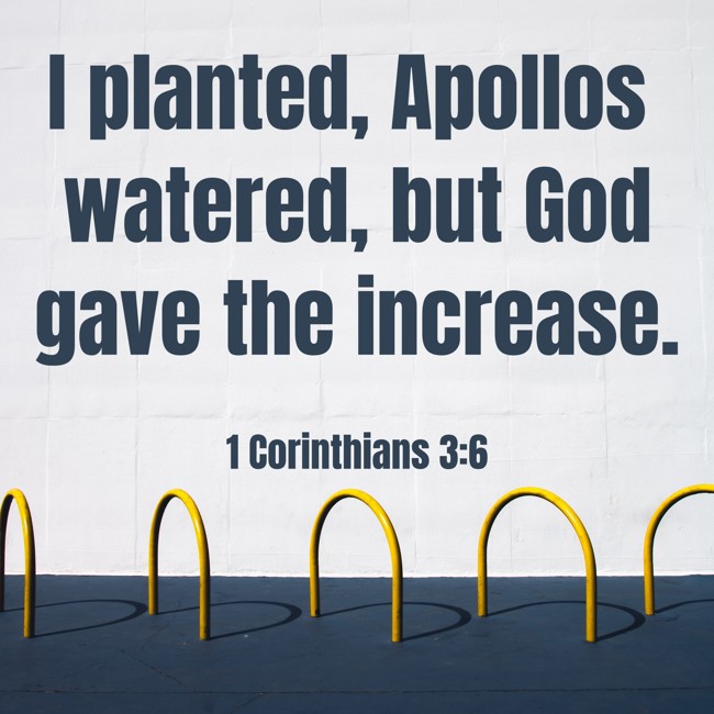 I planted, Apollos watered, but God gave the increase. - 1 Corinthians 3:6