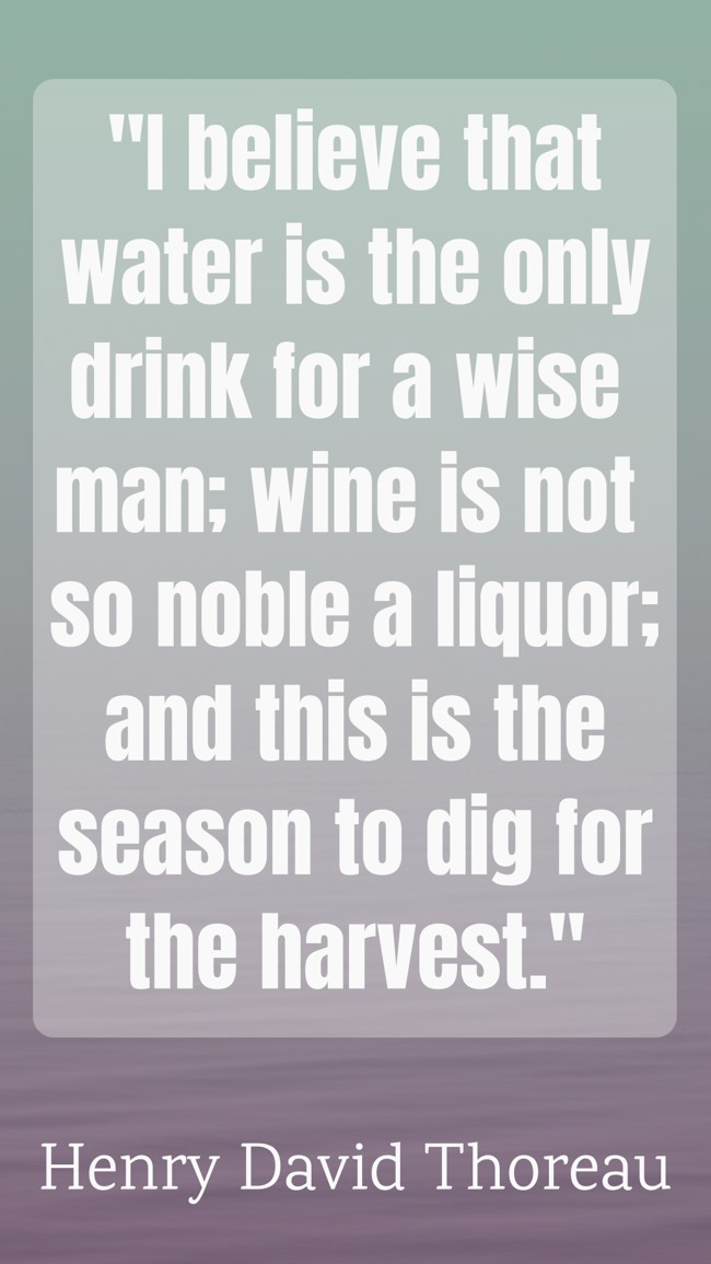 I believe that water is the only drink for a wise man; wine is not so noble a liquor; and this is the season to dig for the harvest. - Henry David Thoreau
