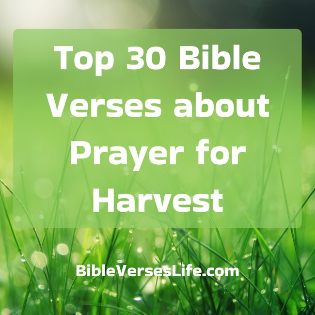 Top 30 Bible Verses about Prayer for Harvest