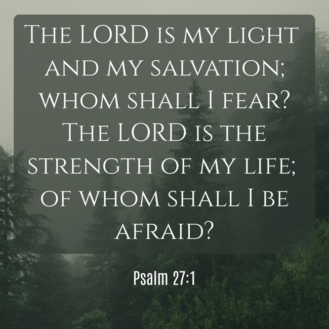 The LORD is my light and my salvation; whom shall I fear? The LORD is the strength of my life; of whom shall I be afraid? - Psalm 27:1
