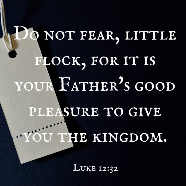 Do not fear, little flock, for it is your Father's good pleasure to give you the kingdom. - Luke 12:32