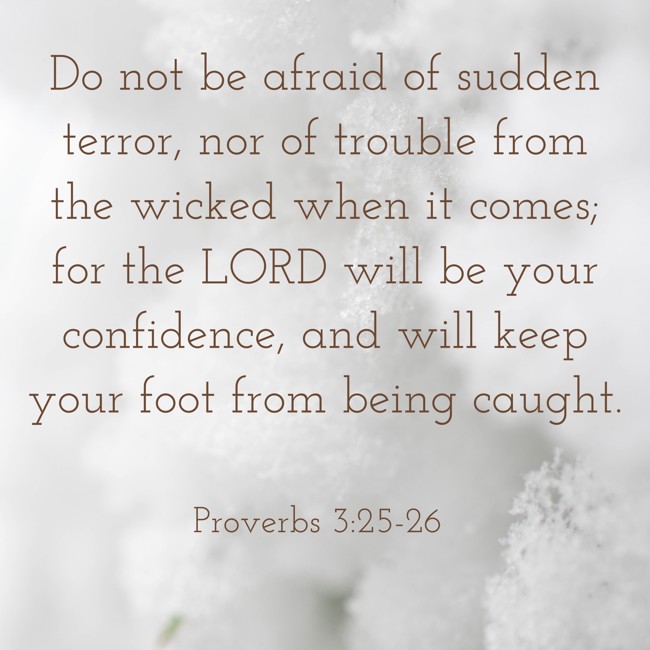 Do not be afraid of sudden terror, nor of trouble from the wicked when it comes; for the LORD will be your confidence, and will keep your foot from being caught. - Proverbs 3:25-26