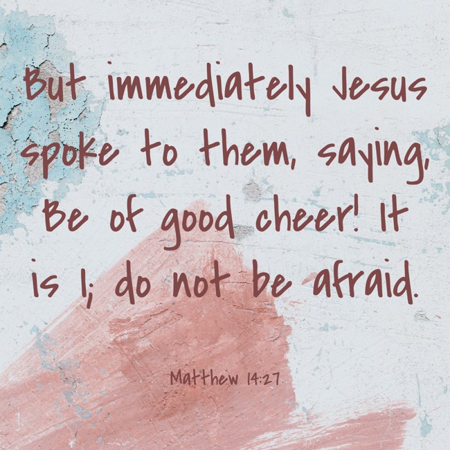 But immediately Jesus spoke to them, saying, Be of good cheer! It is I; do not be afraid. - Matthew 14:27