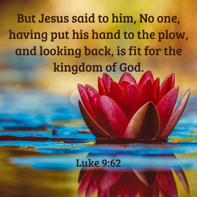 But Jesus said to him, No one, having put his hand to the plow, and looking back, is fit for the kingdom of God. - Luke 9:62